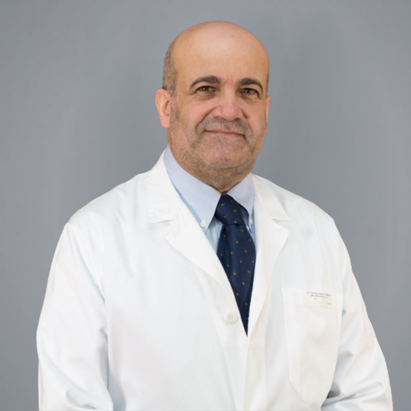 Abdul Halim Berjaoui