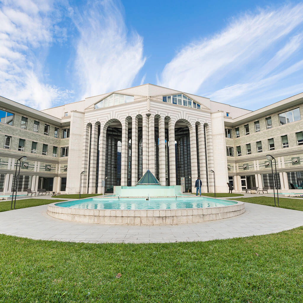 Instituto Clínico San Rocco