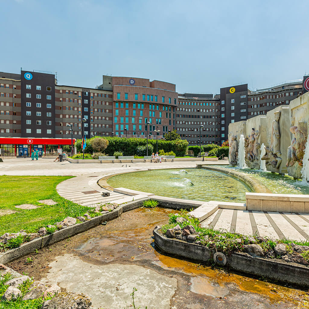 Hospital San Raffaele