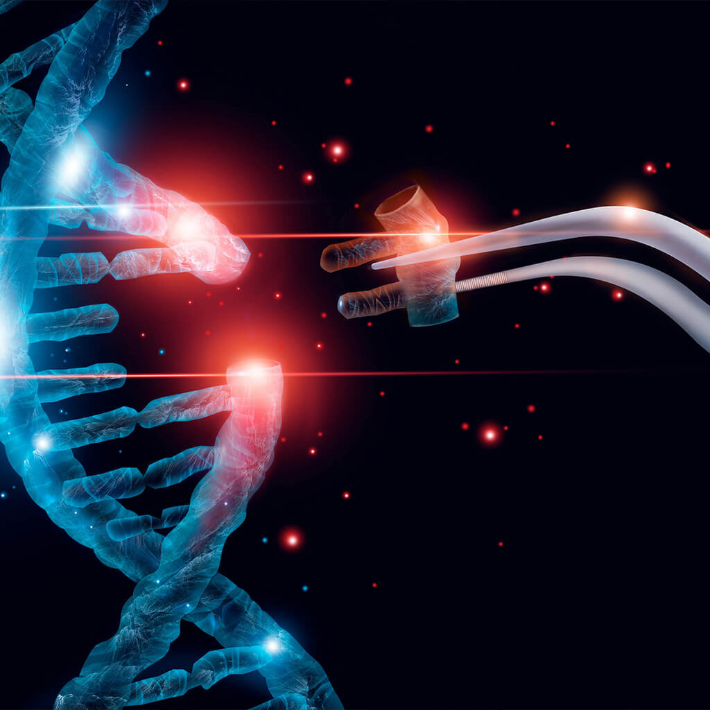 Genetic editing: a new strategy to improve efficiency and precision