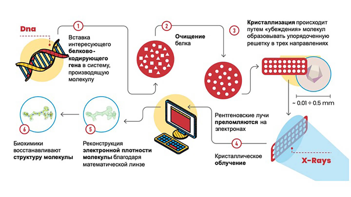 Рентген для визуализации структуры больших молекул