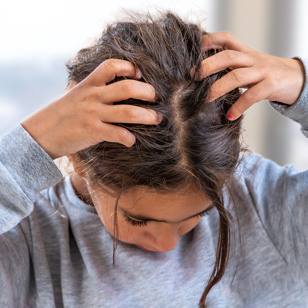 Head lice and ticks: how to remove them?