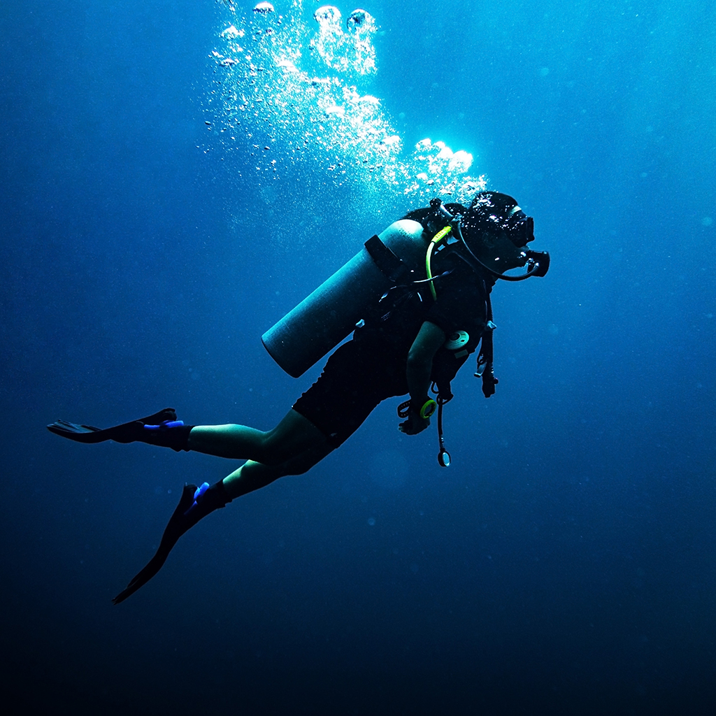 Buceo: ¿qué visitas hacer?