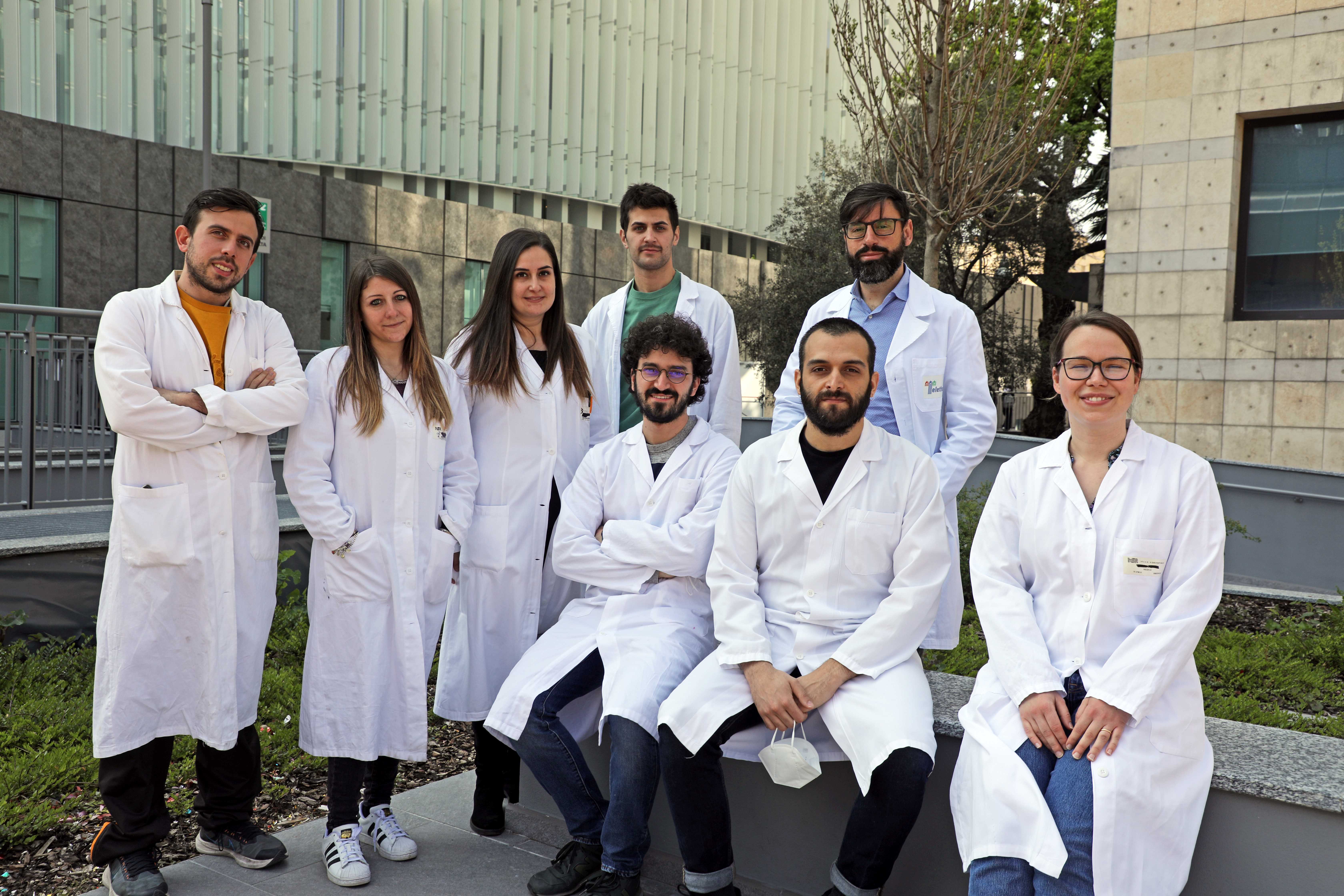 Hypercholesterolemia: Researchers develop strategy to turn off defective gene without modifying DNA