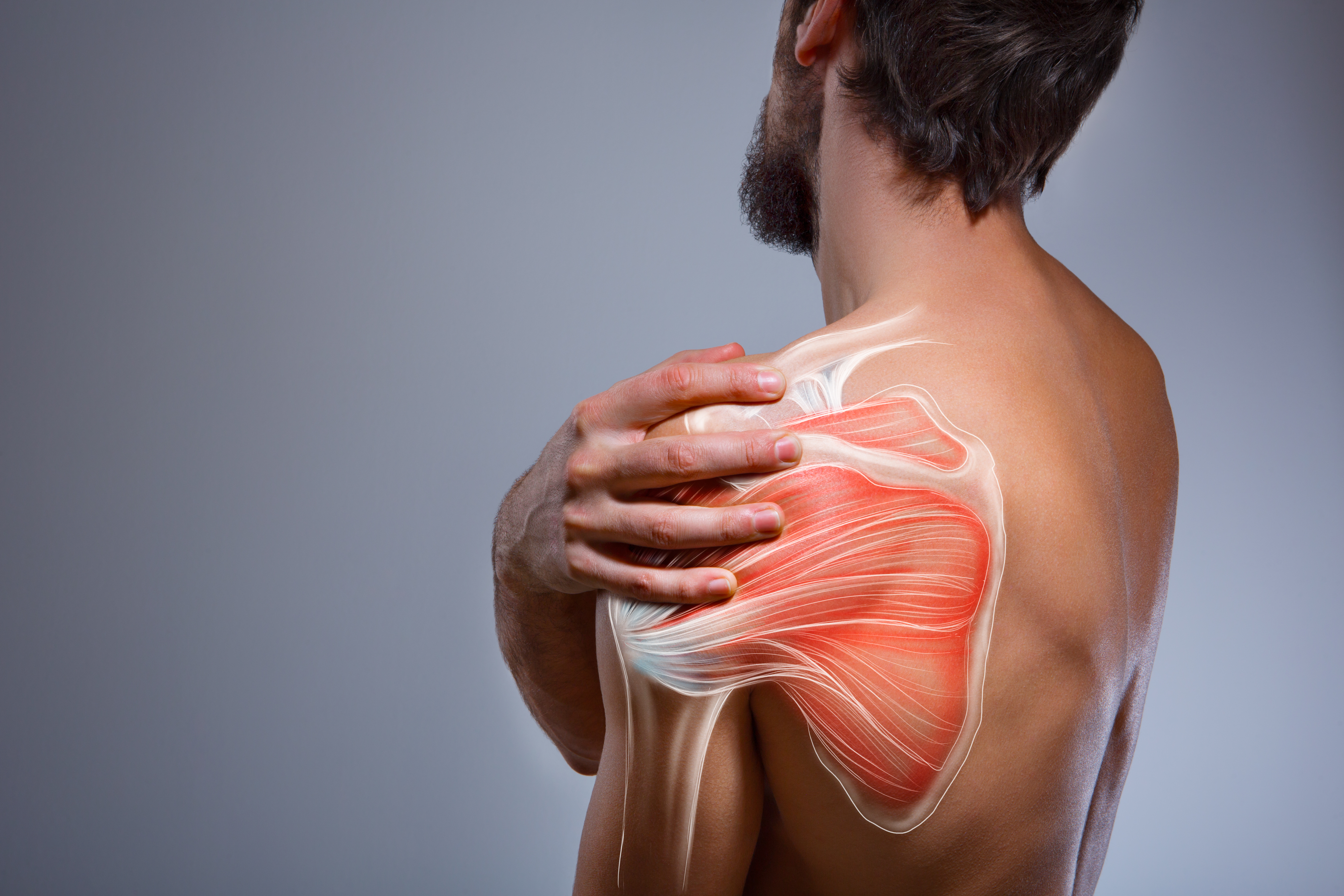 Shoulder prosthesis: when to resort to surgery and what it consists of