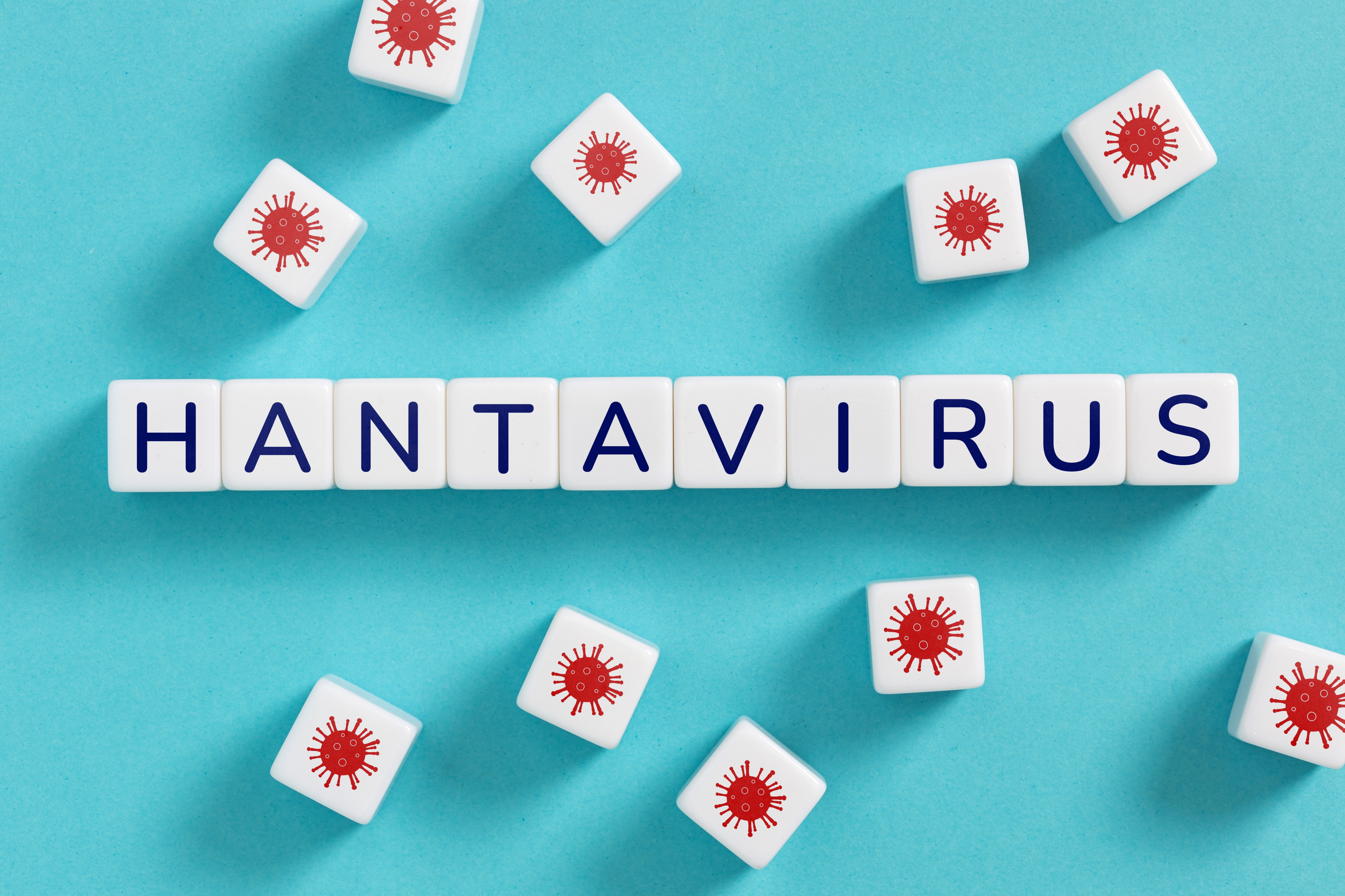Do Hantaviruses behave like COVID-19? What we know about the risk of transmission