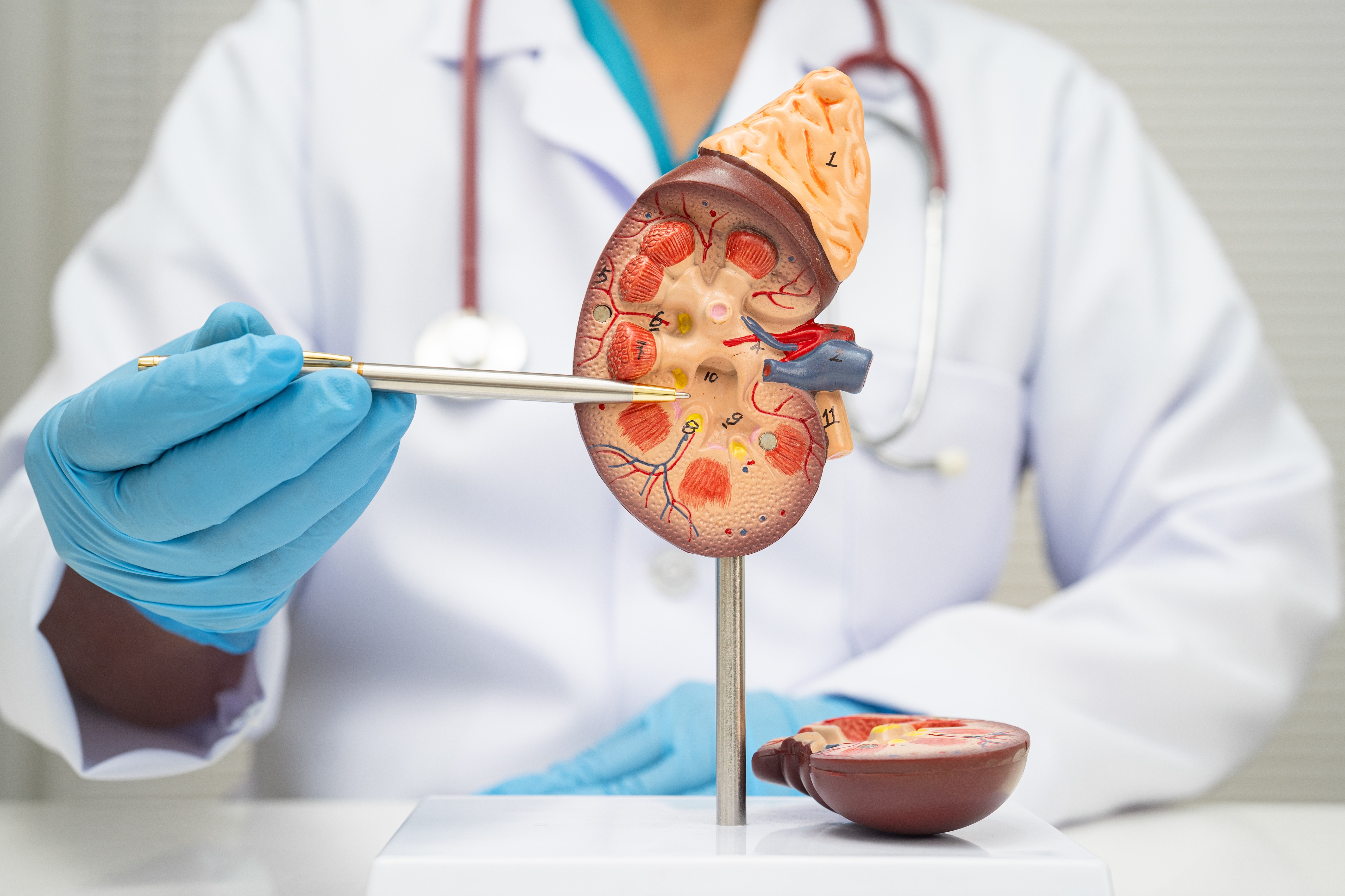 San Raffaele Dialysis Center for international patients: specialized care beyond borders