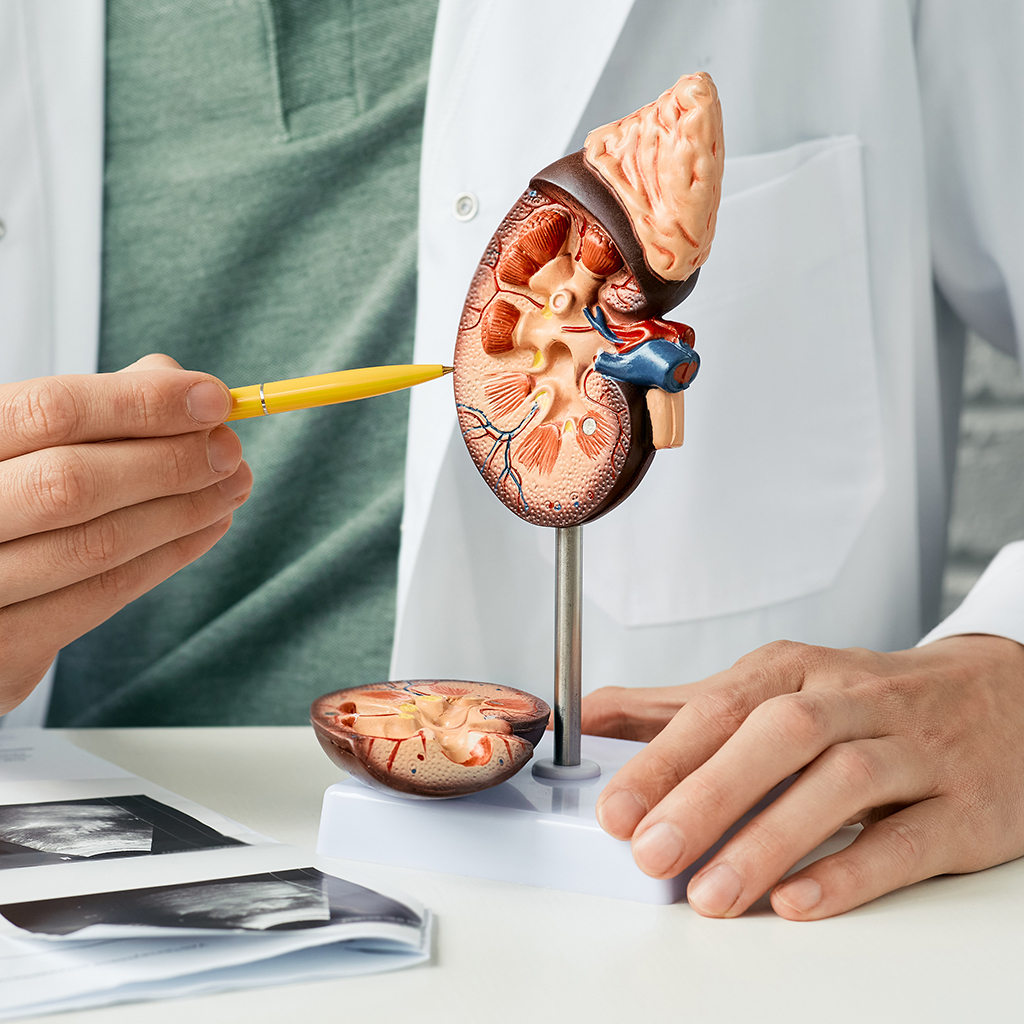 Kidney cancer: laparoscopic surgery and the latest technologies