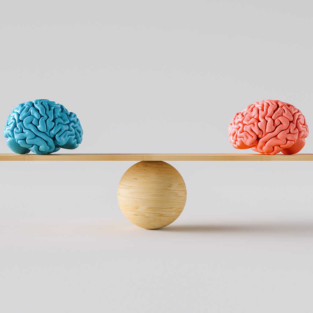 What are the differences between male and female brain?